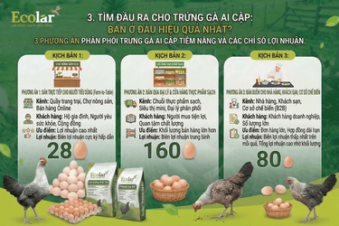 ung-ga-ai-cap-ban-o-dau-hieu-qua-nhat_859fcc13a3244fb0a64e342347bbd1a6_grande (1).png