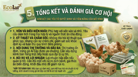 doanh-trung-ga-ai-cap-co-danh-cho-ban_d373d2197ba04450bc0288a3fcc320ec (1).png