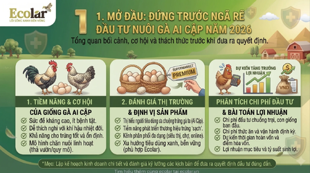 1783304138998.png