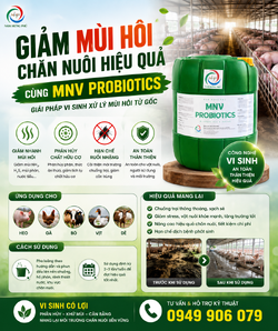 ChatGPT Image 22_46_10 15 thg 7, 2026.png