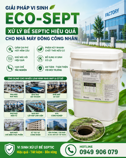ChatGPT Image 19_45_35 29 thg 7, 2026.png