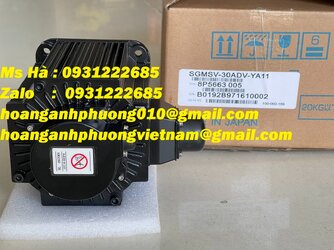 SGMSV-30ADV-YA11 3.jpg
