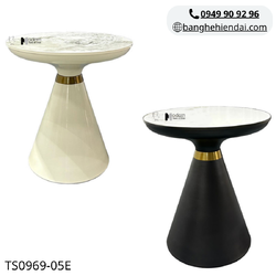 TS0969-05E.png