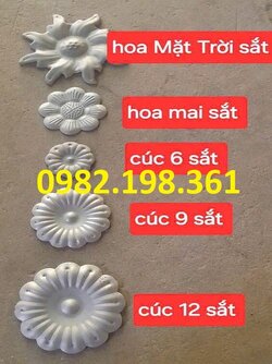 hoa-cuc-3-phan-6-phan-9-phan.jpg