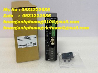 MSP-2W 1.jpg