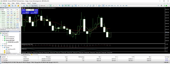 auto-trading-colevn-21-8.png