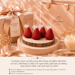 ChatGPT Image 22_48_28 12 thg 8, 2026 (4).png