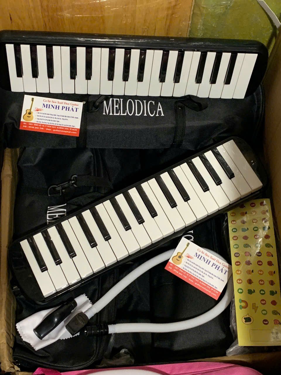 mua-ken-phim-melodica-32-phim-tai-tphcm.jpg