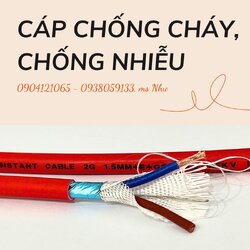 Chưa có tên (1200 x 1200 px) (93).jpg