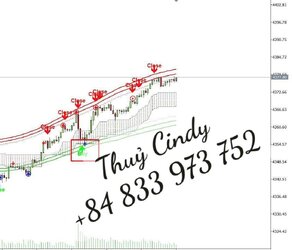 1788918746785_117811195896067494_3934779405733329823_9d5c6413eb2e3363ff5772b2ea8ec867.jpg